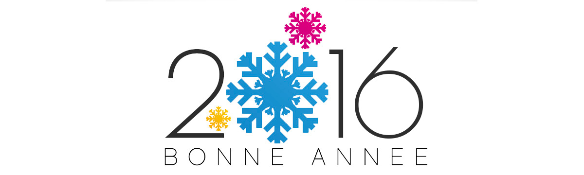 Bonne année 2016 !